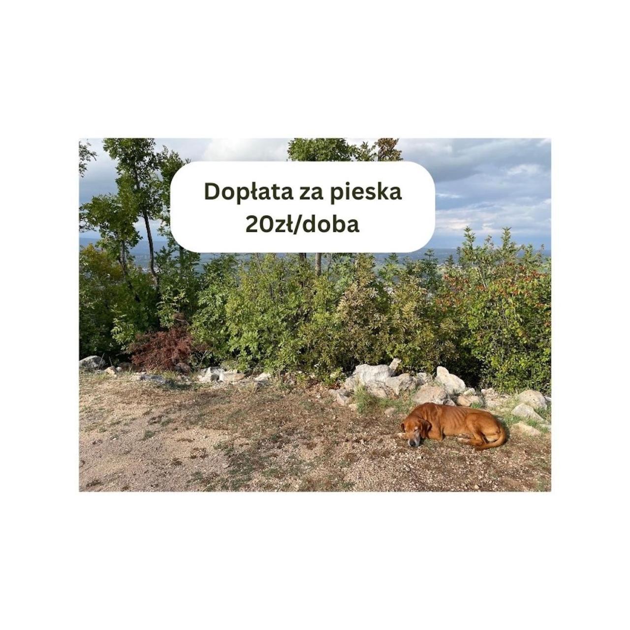 Lakowa Dolina - Domek Letniskowy Supraśl 외부 사진